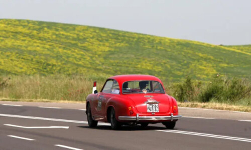 Alfa-Romeo 1900 Sprint #7