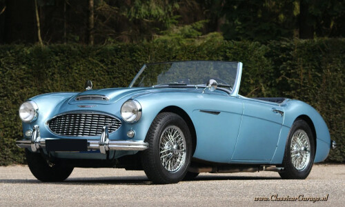 Austin-Healey 100/6 #8