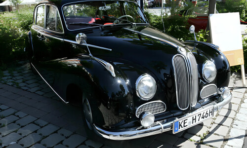 BMW 501 #15