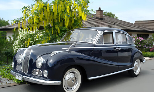 BMW 502 #3