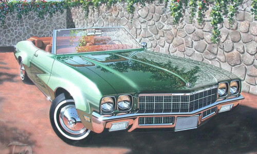 Buick Skylark #9