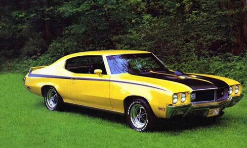 Buick Skylark #11