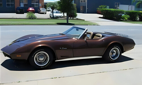 Chevrolet Corvette C3 #10