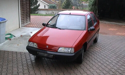 Citroen ZX #8