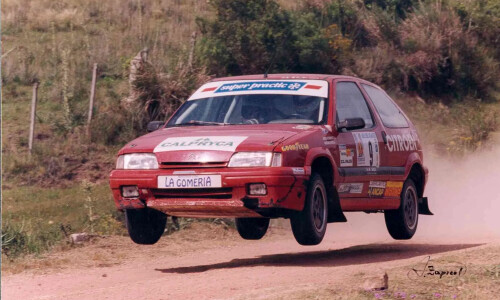 Citroen ZX #12