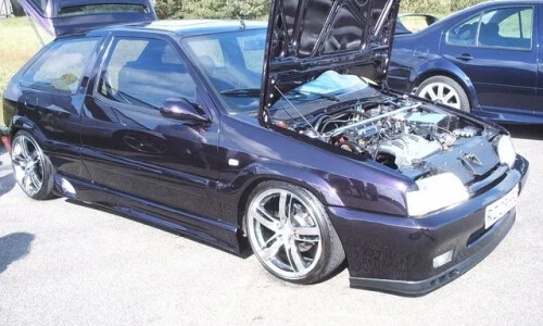 Citroen ZX #15