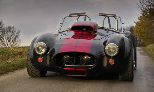Cobra Weineck Cobra #4