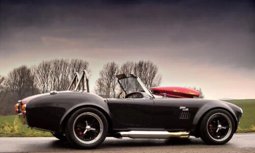 Cobra Weineck Cobra #10
