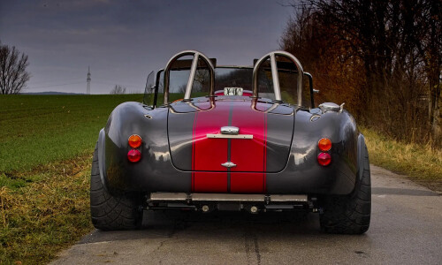 Cobra Weineck Cobra #11