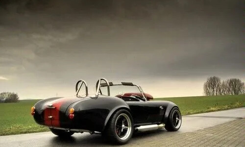 Cobra Weineck Cobra #12