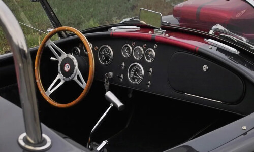 Cobra Weineck Cobra #13