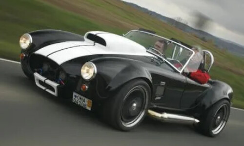 Cobra Weineck Cobra #16