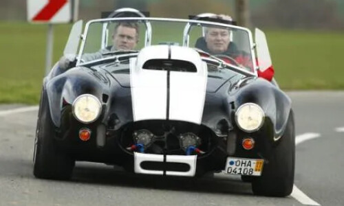 Cobra Weineck Cobra #17