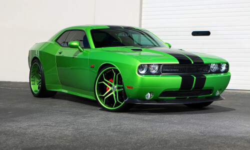 Dodge Challenger #13