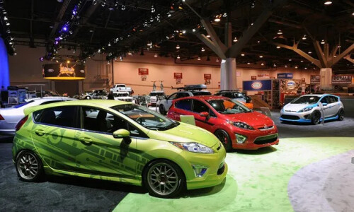 Ford Fiesta Champ #4