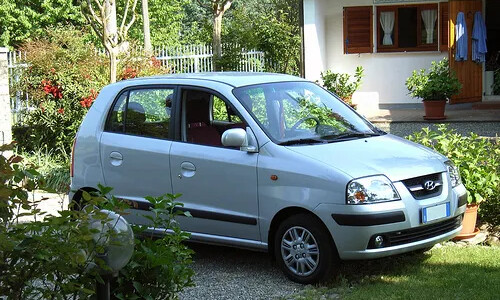 Hyundai Atos Flower #1