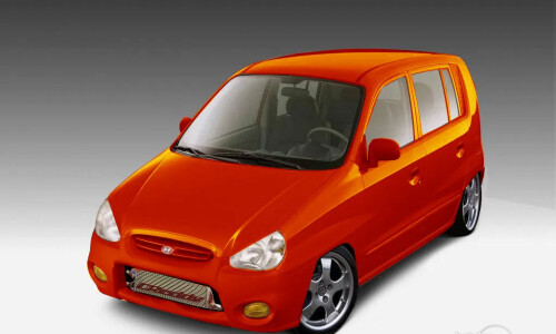 Hyundai Atos Flower #3