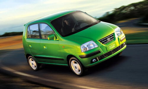 Hyundai Atos Flower #4