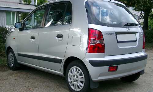 Hyundai Atos Flower #6