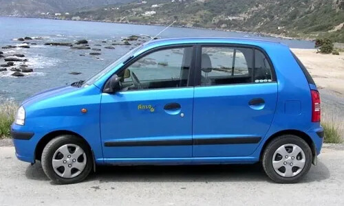 Hyundai Atos Flower #7