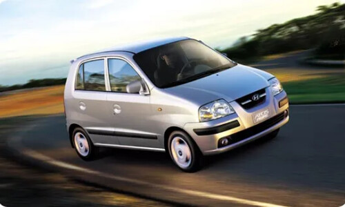 Hyundai Atos Flower #8