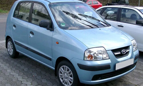 Hyundai Atos Flower #9