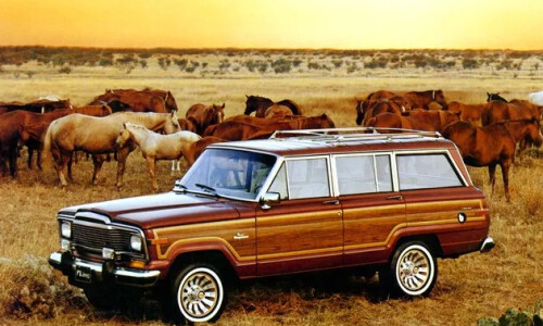 Jeep Wagoneer #11
