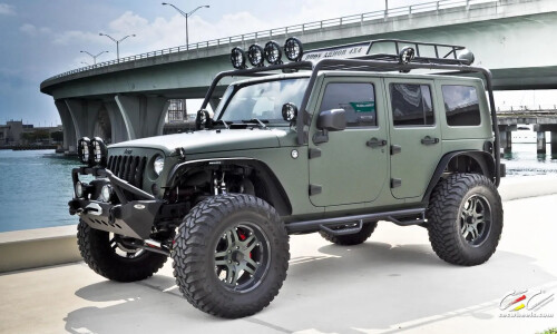 Jeep Wrangler #1