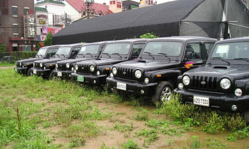 Kia Retona #11