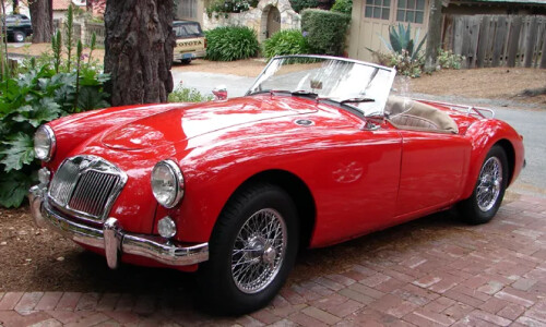 Mg A #12