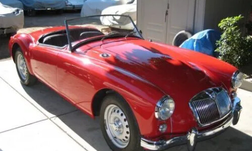Mg A #13