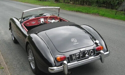 Mg A #14