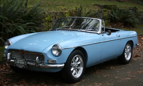 Mg B #8