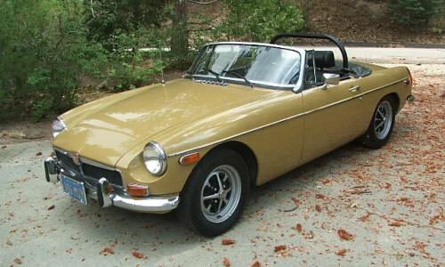 Mg B #15