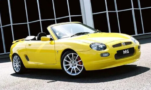Mg F #8