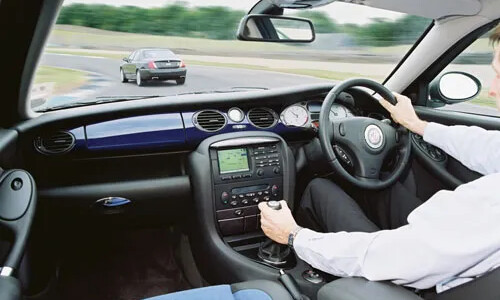 Mg ZT #11
