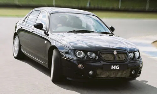 Mg ZT #13
