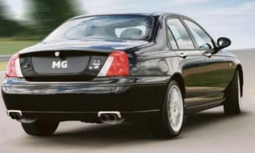 Mg ZT #15