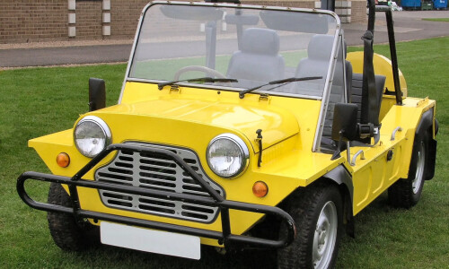 MINI Moke #1