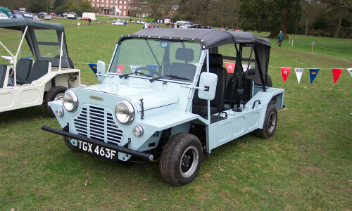 MINI Moke #4