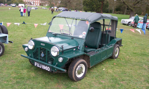 MINI Moke #6
