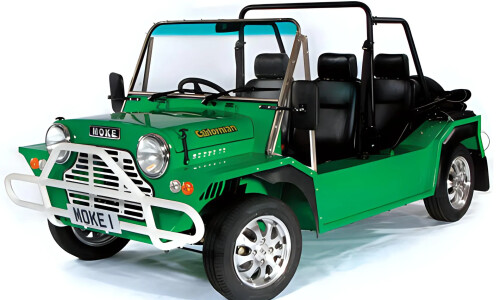 MINI Moke #8