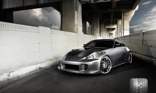 Nissan 350 #13