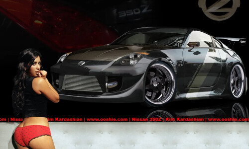 Nissan 350 #14