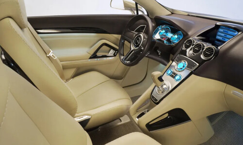 Opel Antara #4