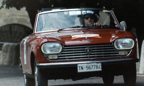 Peugeot 204 #8