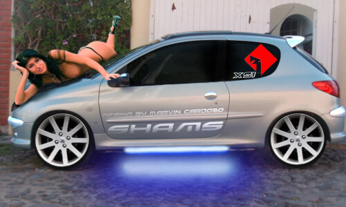 Peugeot 206 #6