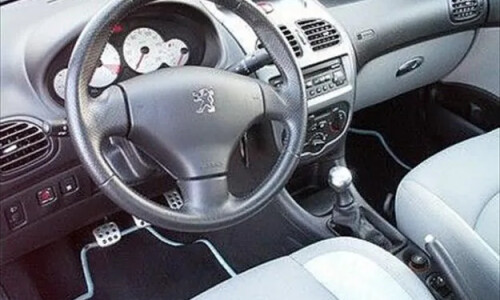 Peugeot 206 CC Roxy #9