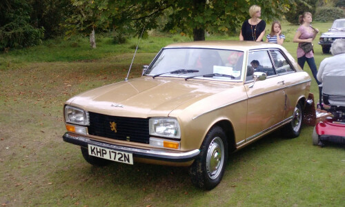 Peugeot 304 #8