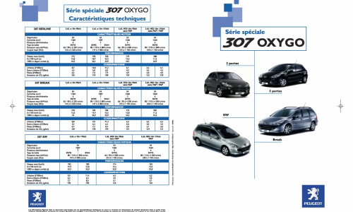 Peugeot 307 Oxygo #5